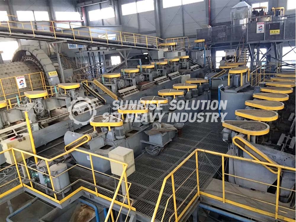 Gold ore processing plant