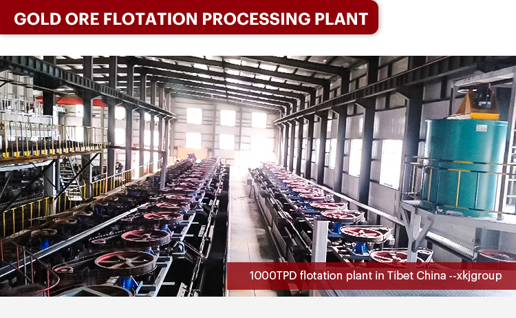 GOLD ORE FLOTATION PROCESSING PLANT