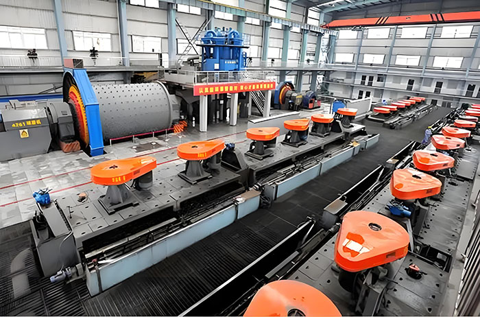 Mineral flotation plant