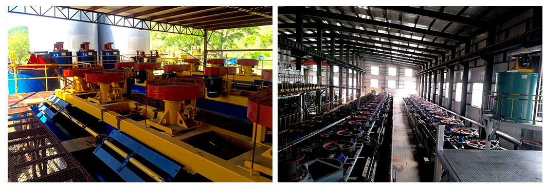 Lithium ore reverse flotation method