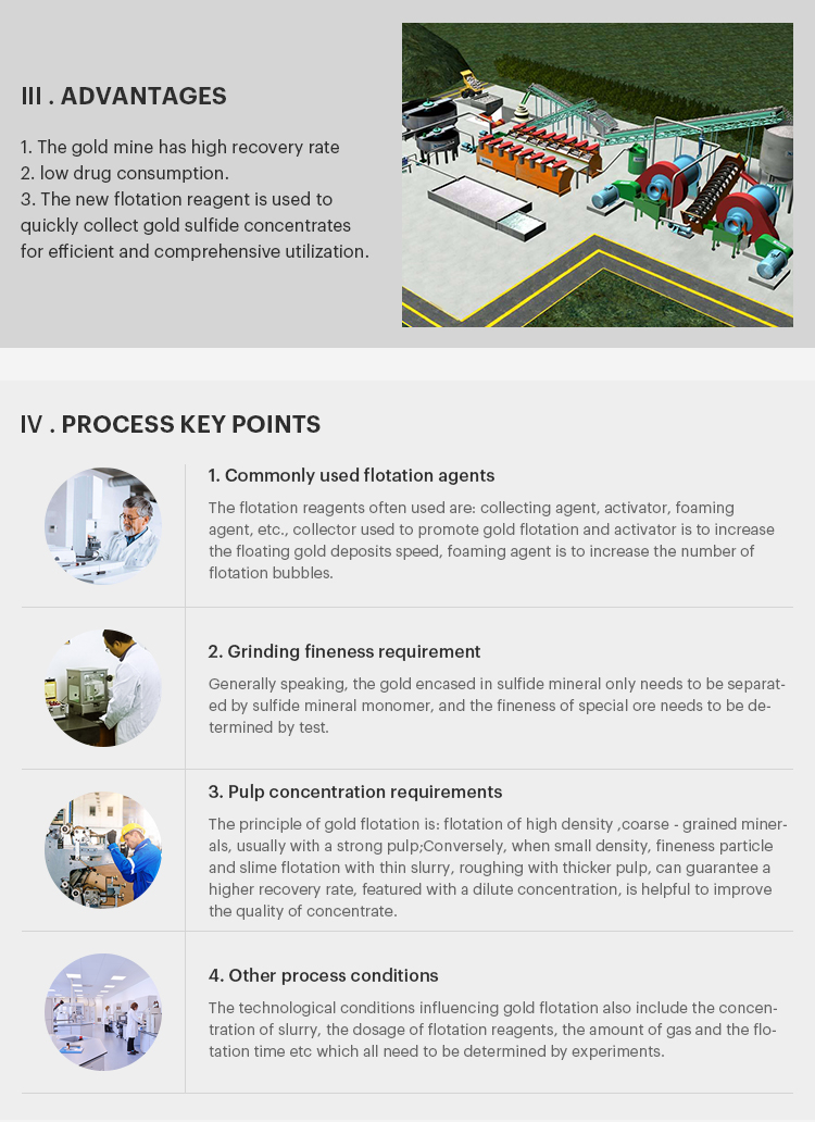 GOLD ORE FLOTATION PROCESSING PLANT