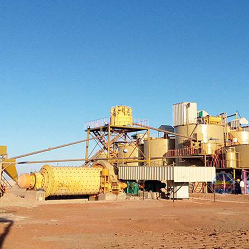 gold CIL plant