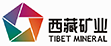 TIBIT MINERAL